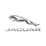 jaguar-150x150
